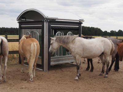 Futterraufe für Pferde mit Steuerung der Fresszeiten